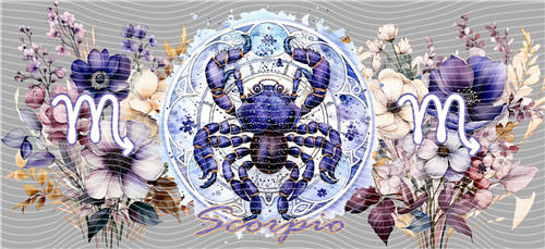 16oz Latest Bestseller-C 4257